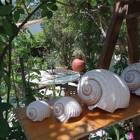Agnontas 斯塔马提亚花园旅馆酒店 外观 照片