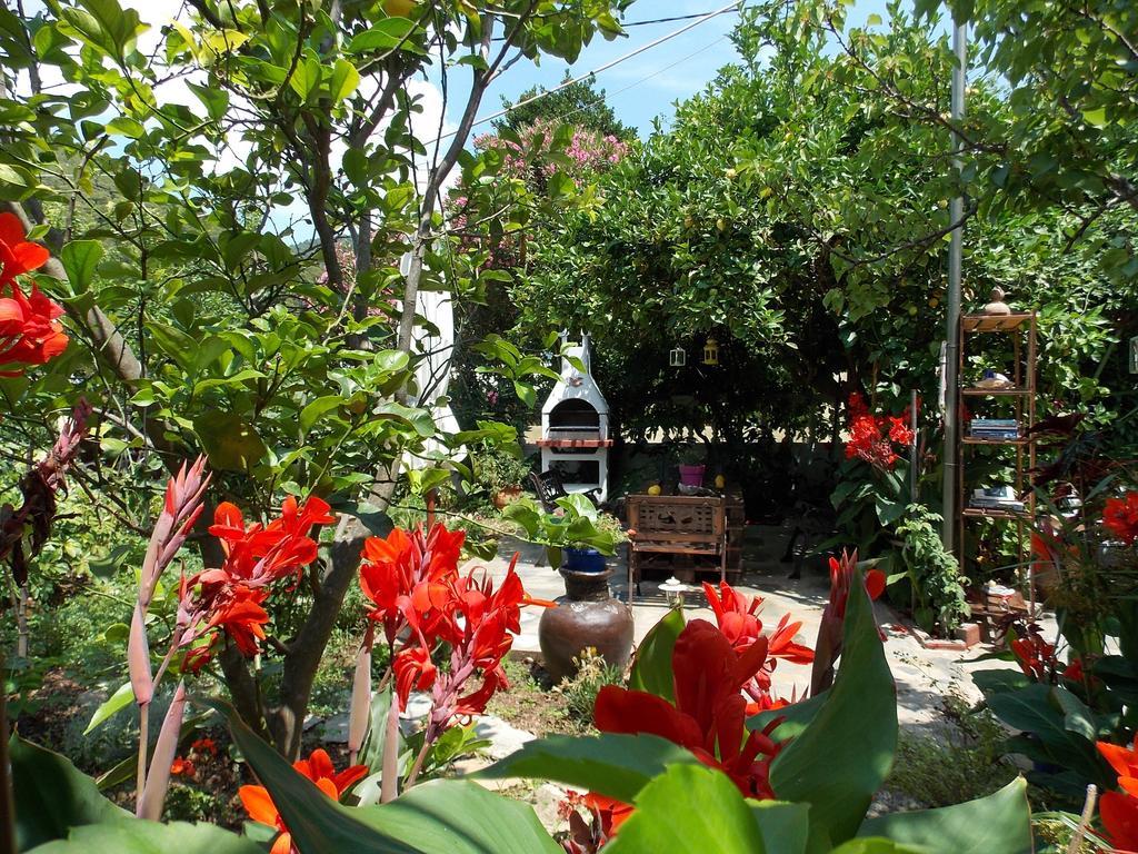 Agnontas 斯塔马提亚花园旅馆酒店 外观 照片