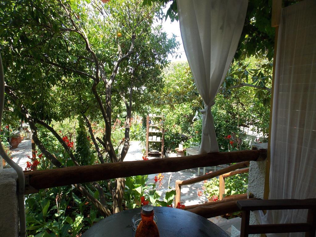 Agnontas 斯塔马提亚花园旅馆酒店 外观 照片