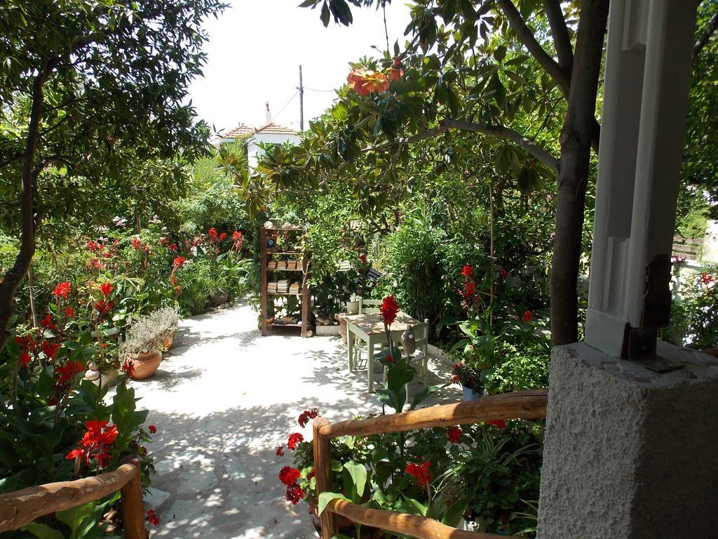 Agnontas 斯塔马提亚花园旅馆酒店 外观 照片