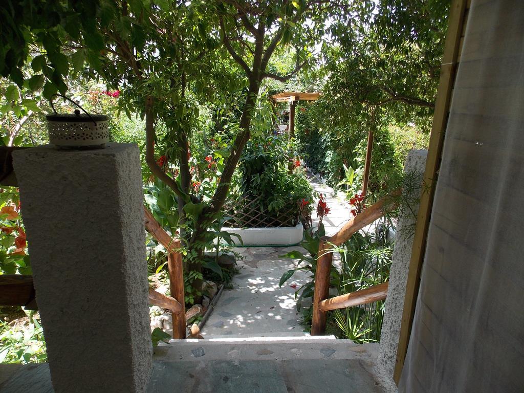 Agnontas 斯塔马提亚花园旅馆酒店 外观 照片