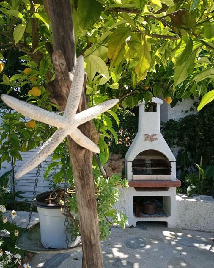 Agnontas 斯塔马提亚花园旅馆酒店 外观 照片