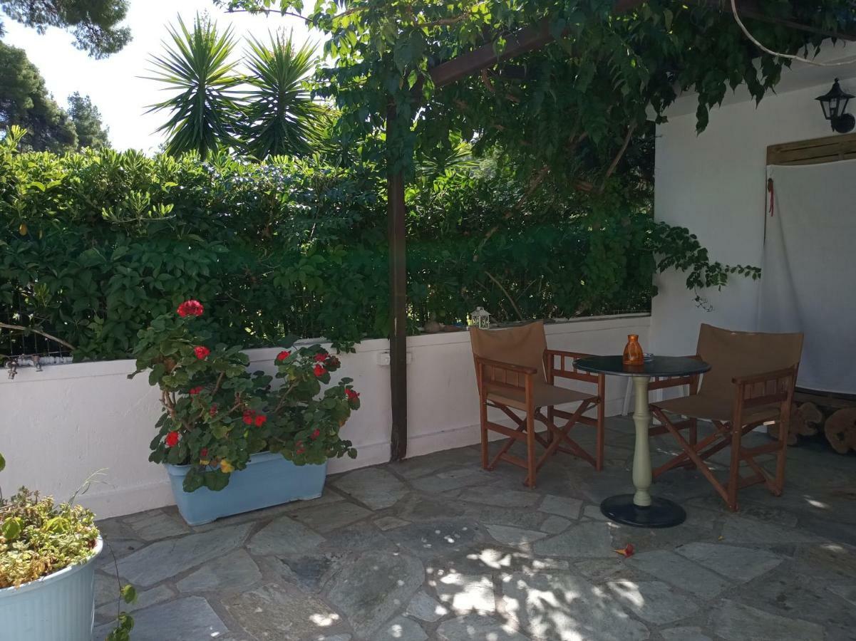 Agnontas 斯塔马提亚花园旅馆酒店 外观 照片