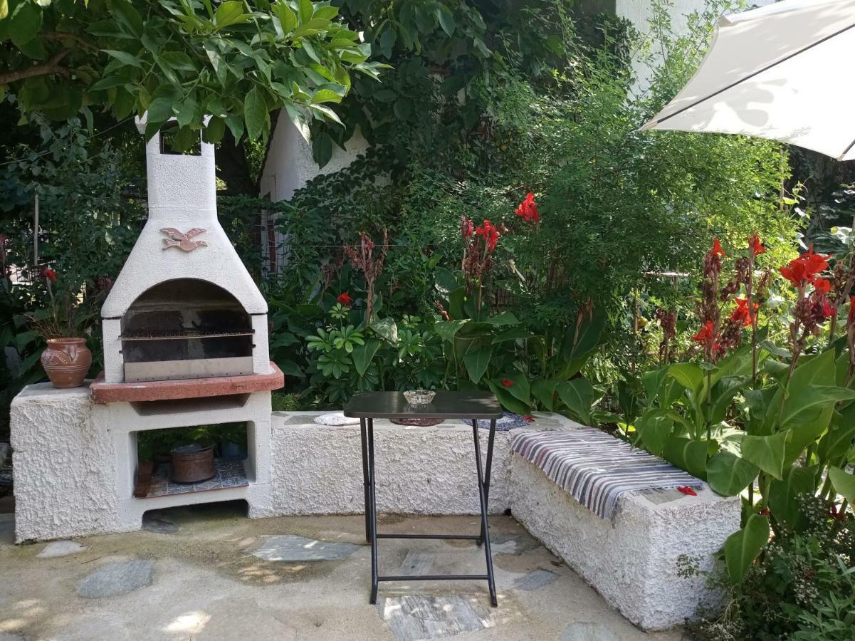 Agnontas 斯塔马提亚花园旅馆酒店 外观 照片