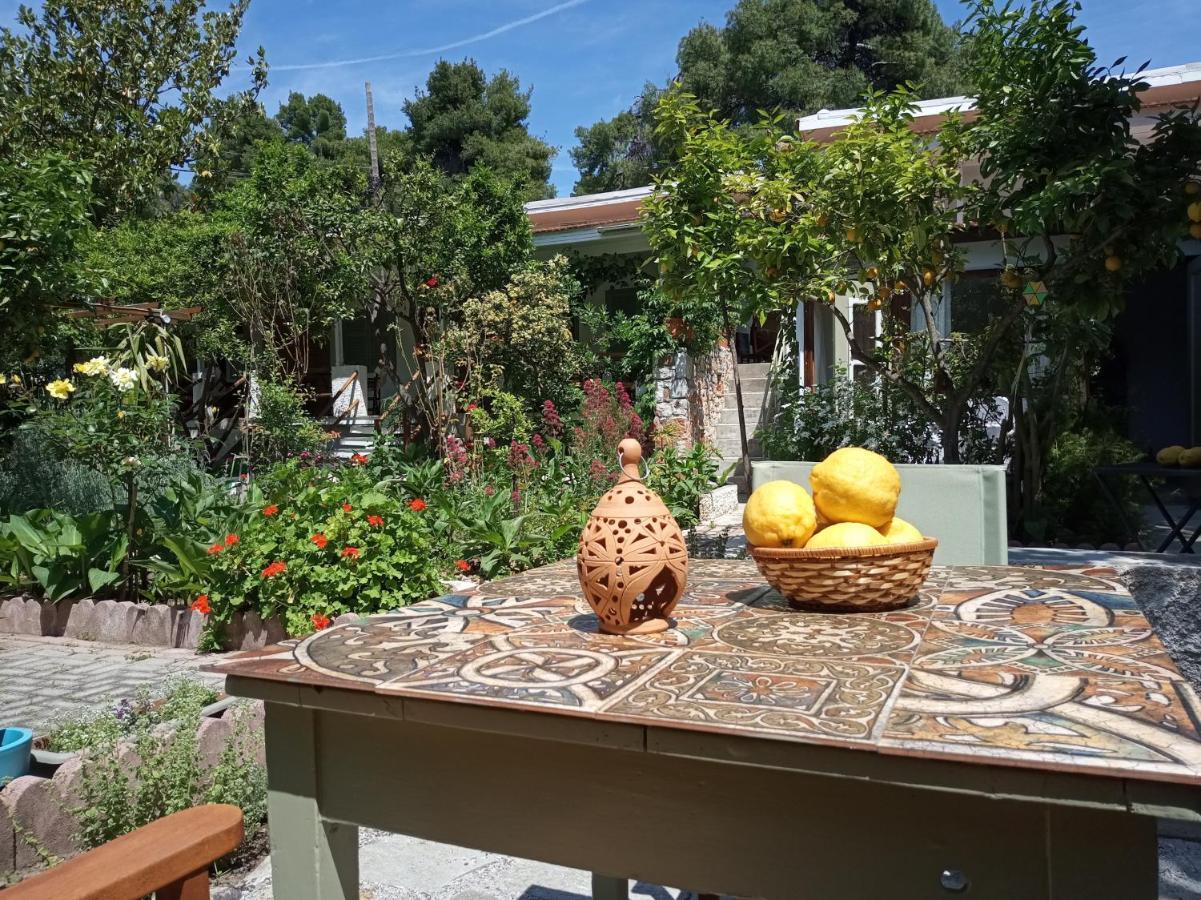 Agnontas 斯塔马提亚花园旅馆酒店 外观 照片