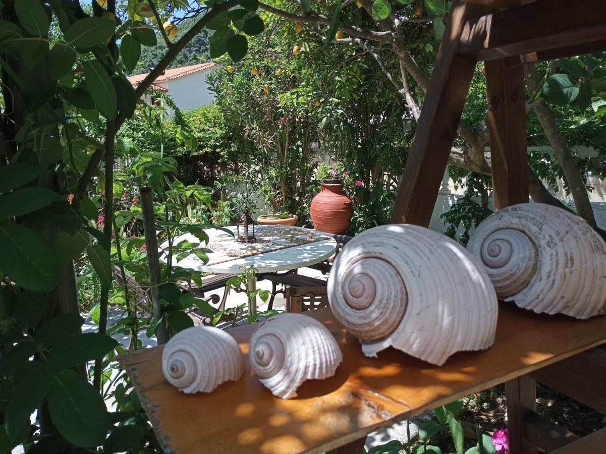 Agnontas 斯塔马提亚花园旅馆酒店 外观 照片