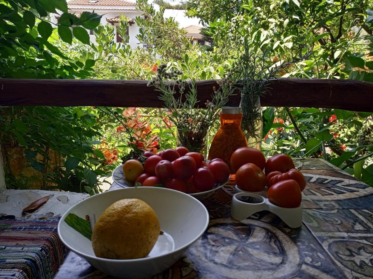 Agnontas 斯塔马提亚花园旅馆酒店 外观 照片