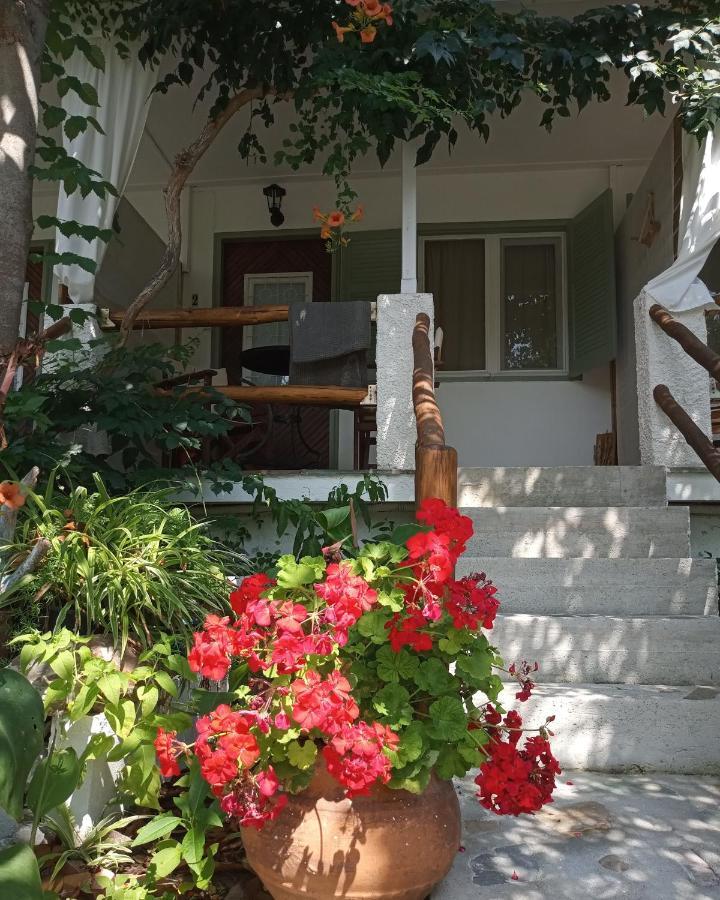Agnontas 斯塔马提亚花园旅馆酒店 外观 照片