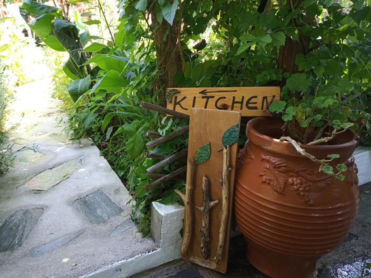 Agnontas 斯塔马提亚花园旅馆酒店 外观 照片